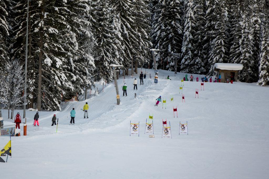 Dorf-Chalets Filzmoos Mit Sauna Extérieur photo